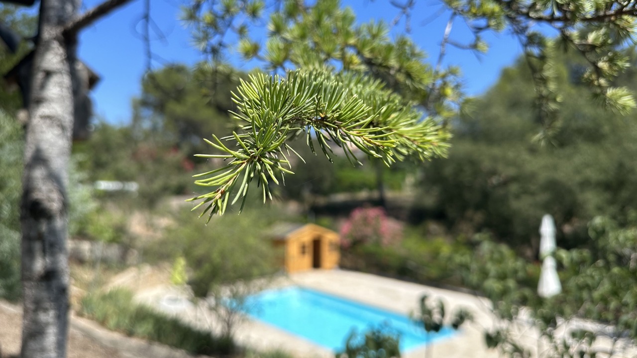 Photo of Outdoor in Le Muy