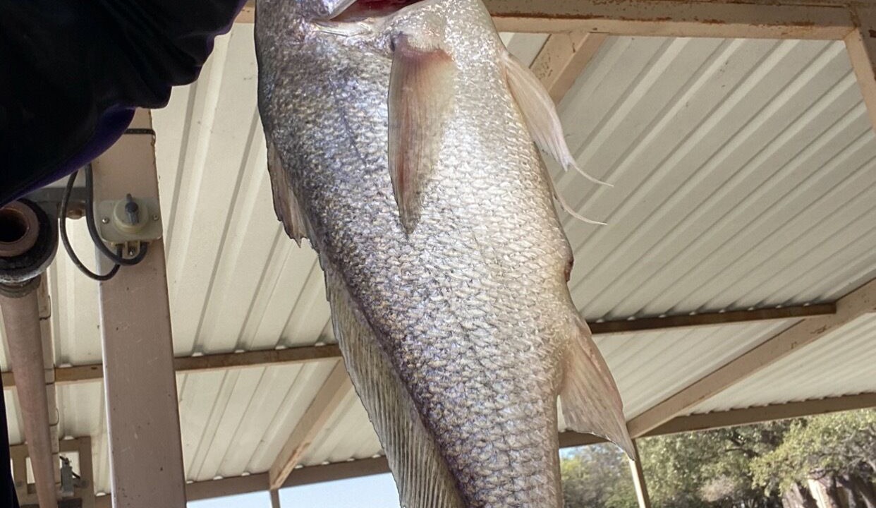 Photo of Others in Brownwood