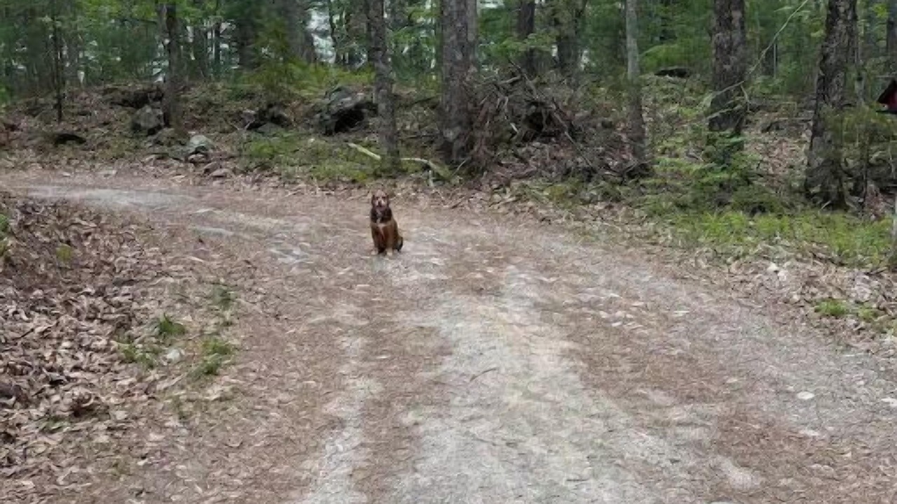 Photo of Others in Rogers