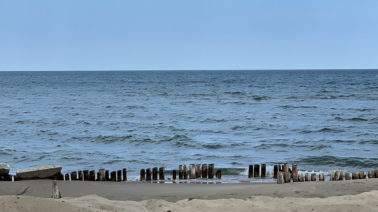 Photo of Others in Oscoda