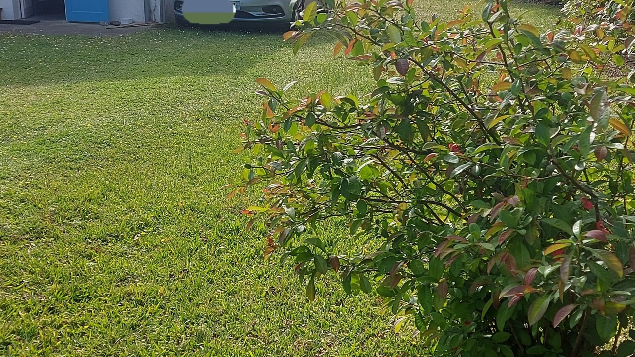 Photo of Outdoor in Labenne