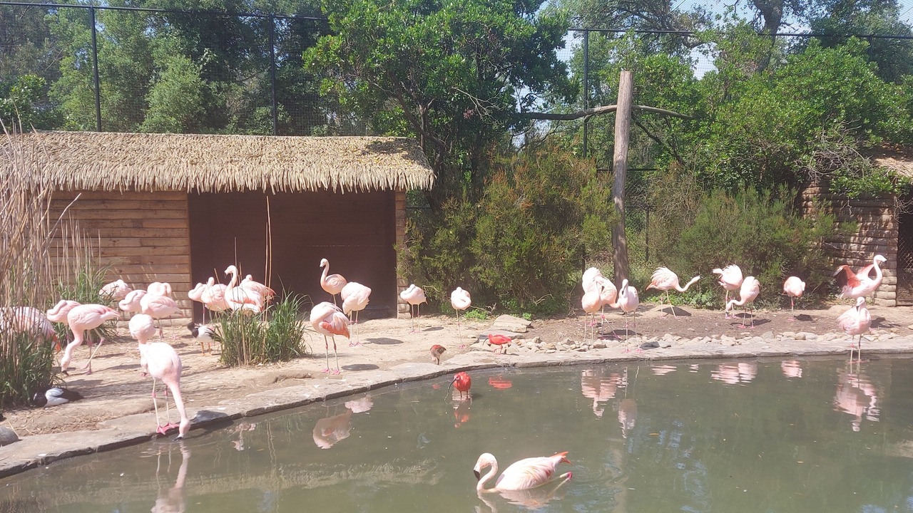 Photo of Outdoor in Labenne