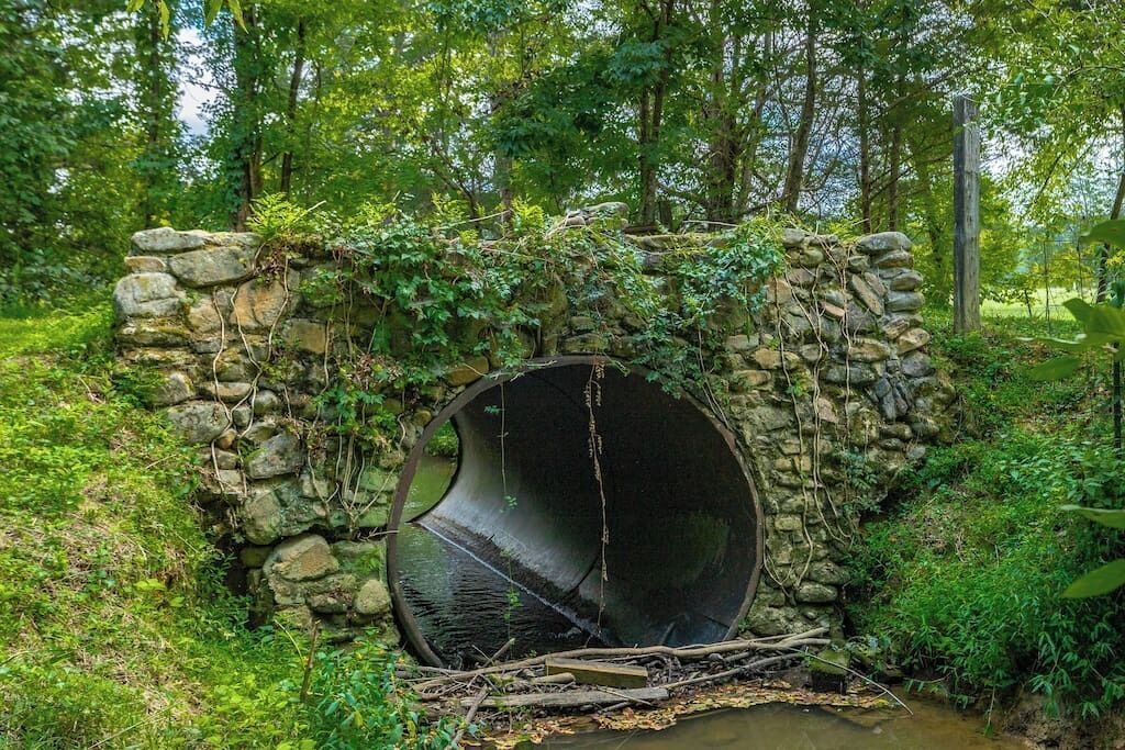 Photo of Others in Rock Spring