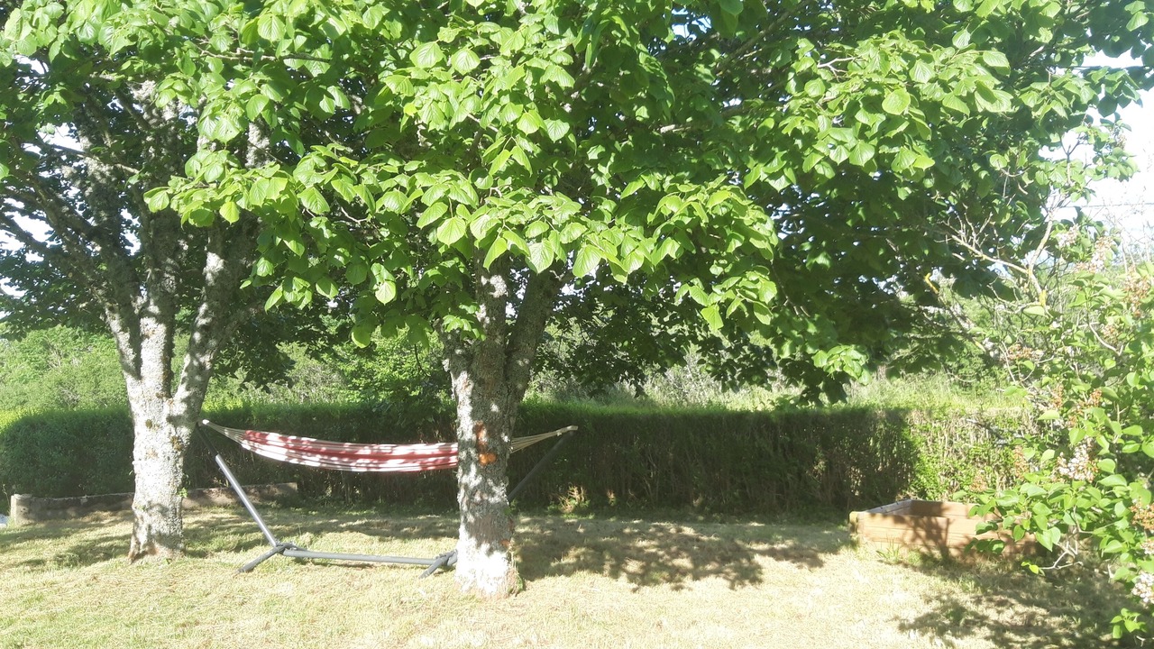 Photo of Outdoor in La Roche-en-Brenil