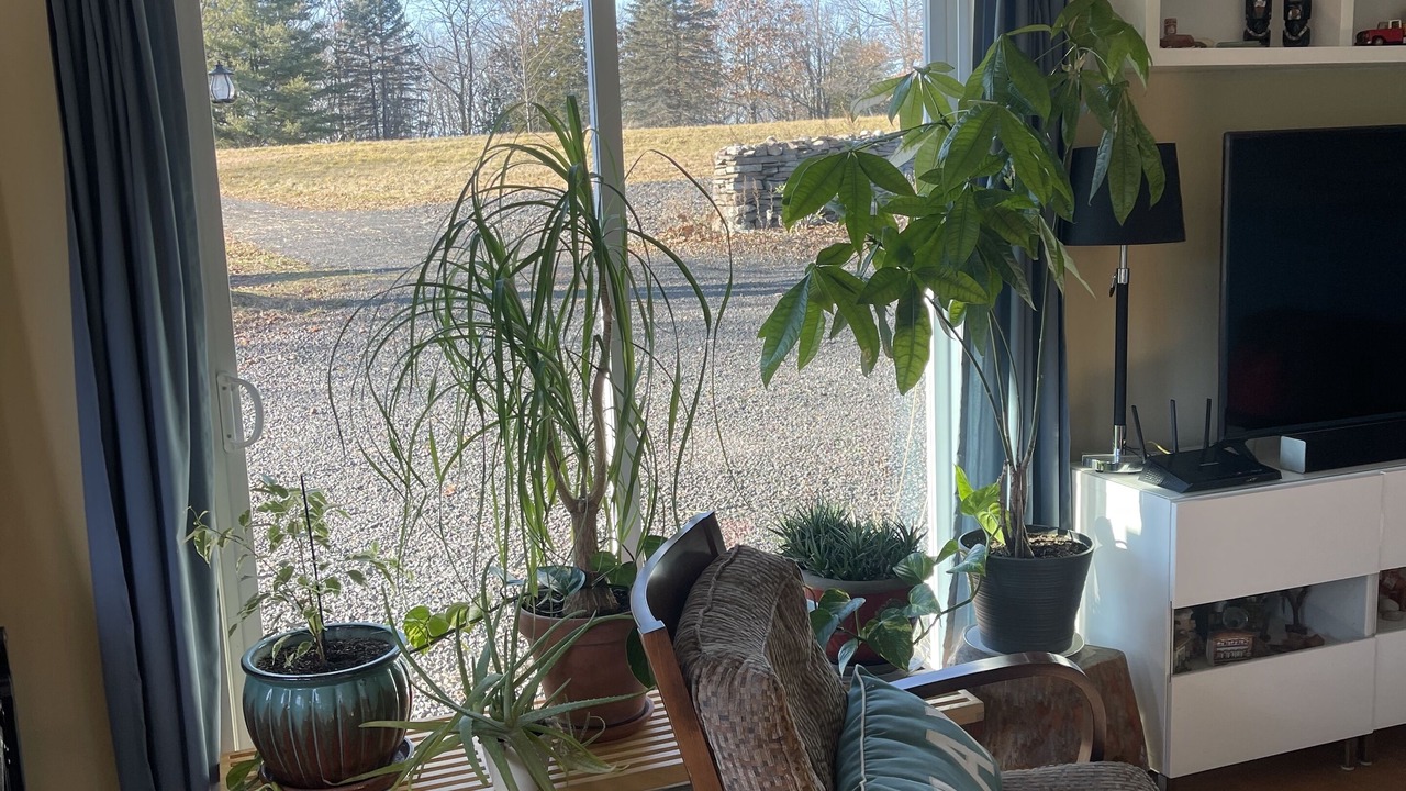 Photo of Livingroom in Greenville