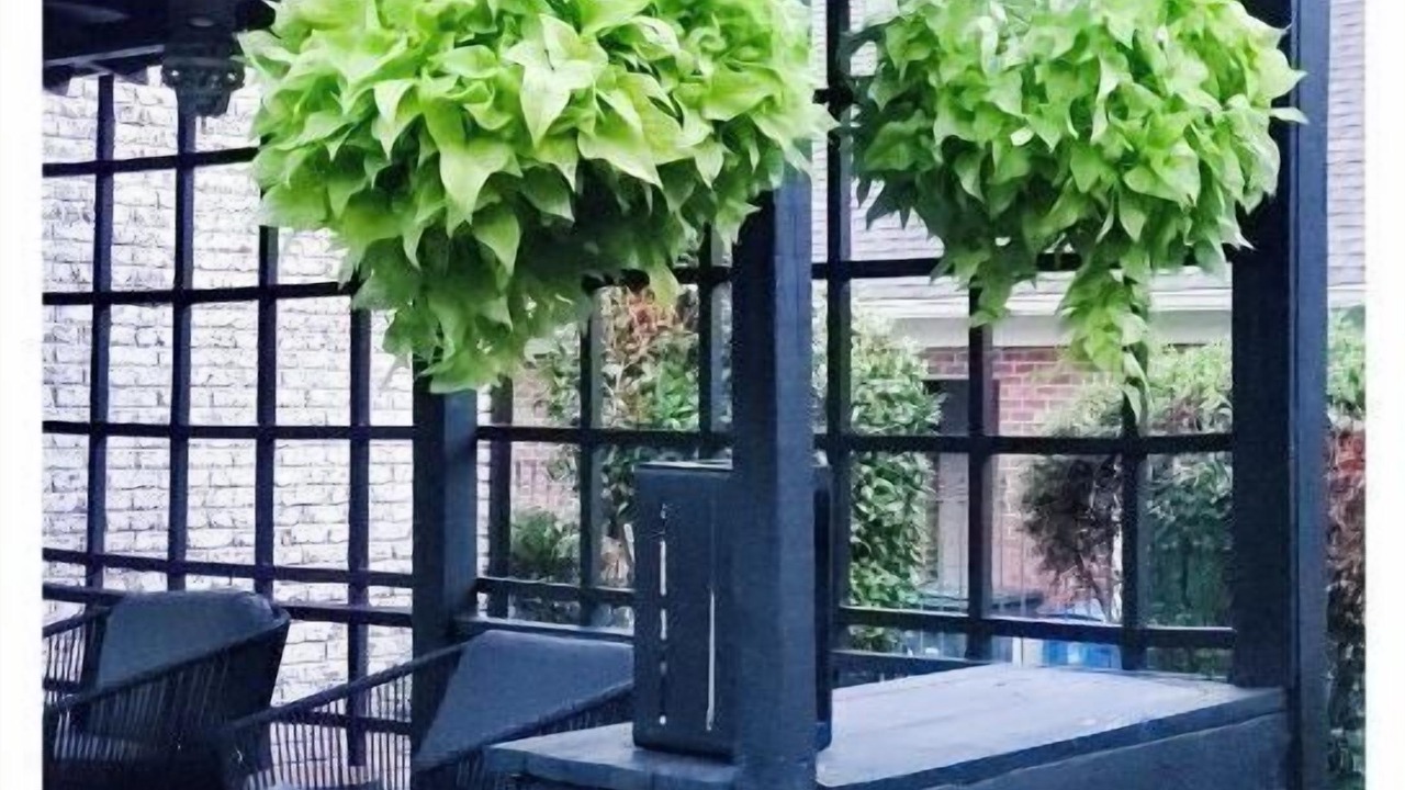 Photo of Patio Balcony in Terry Sanford