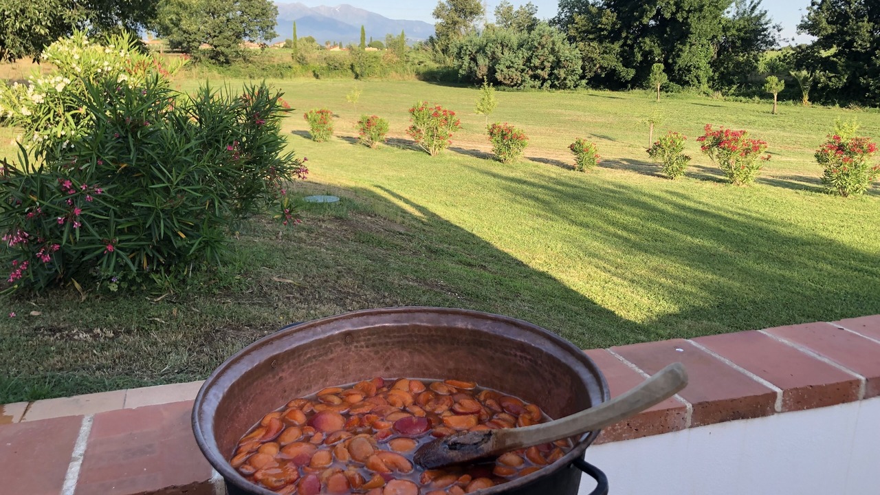 Photo of Outdoor in Villelongue-dels-Monts