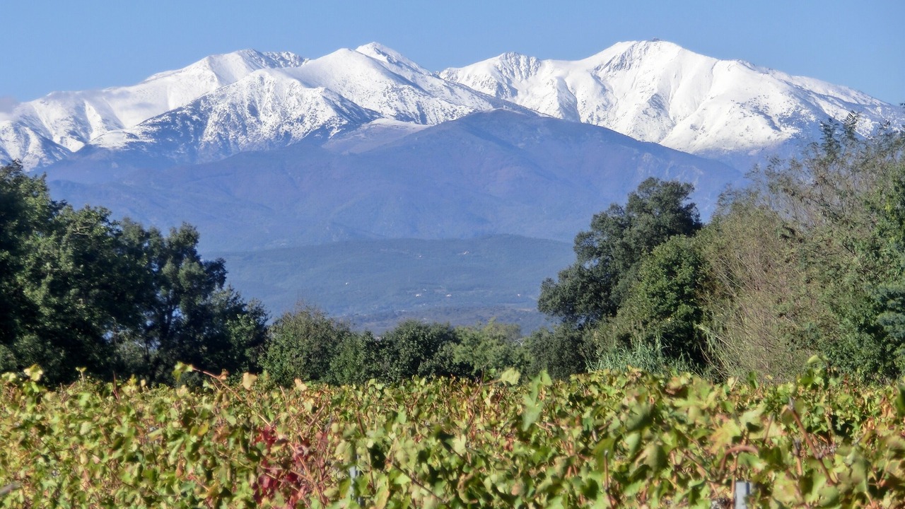 Photo of Outdoor in Villelongue-dels-Monts