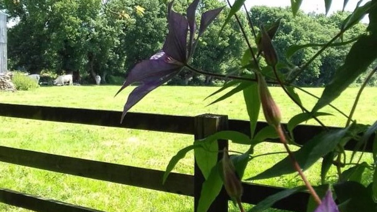 Photo of Outdoor in Necy