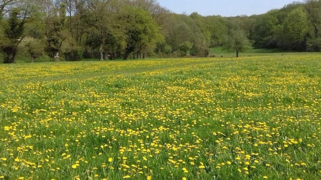 Photo of Outdoor in Necy