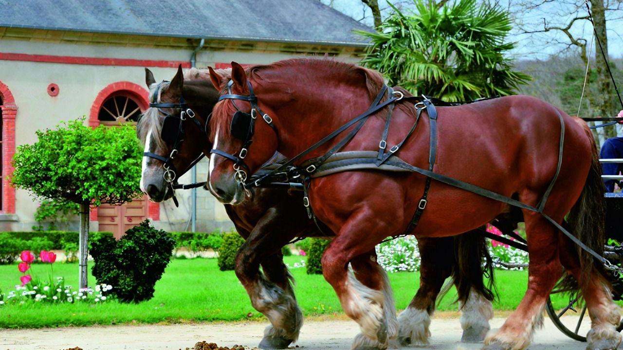 Photo of Others in Hennebont