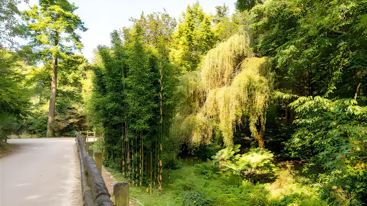 Photo of Outdoor in Hennebont