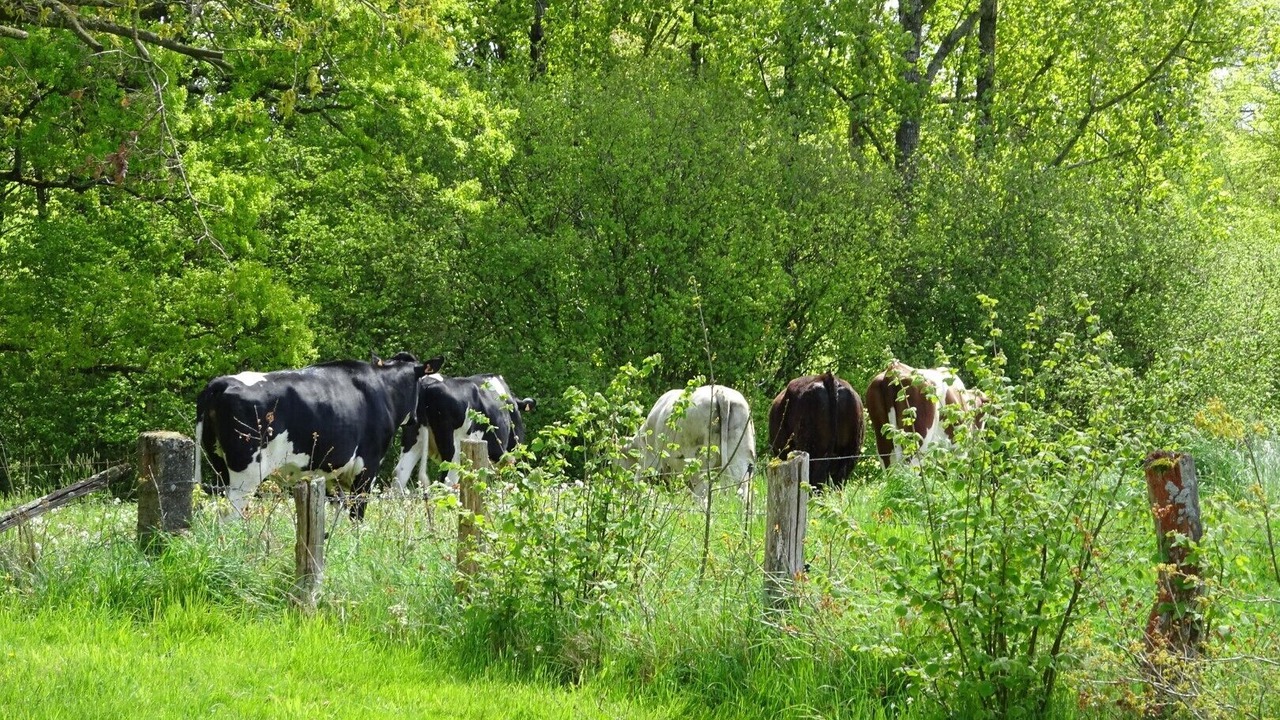 Photo of Bathroom in Saint-Mars-d'Egrenne