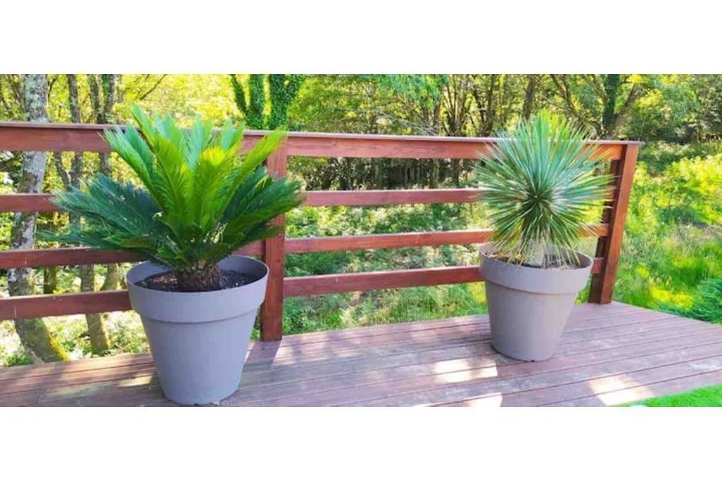 Photo of Outdoor in Pluherlin