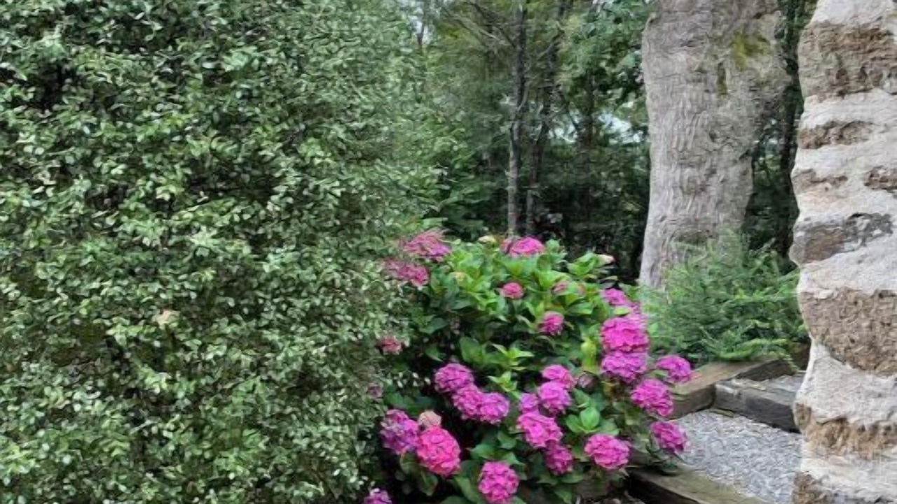 Photo of Outdoor in Pluherlin