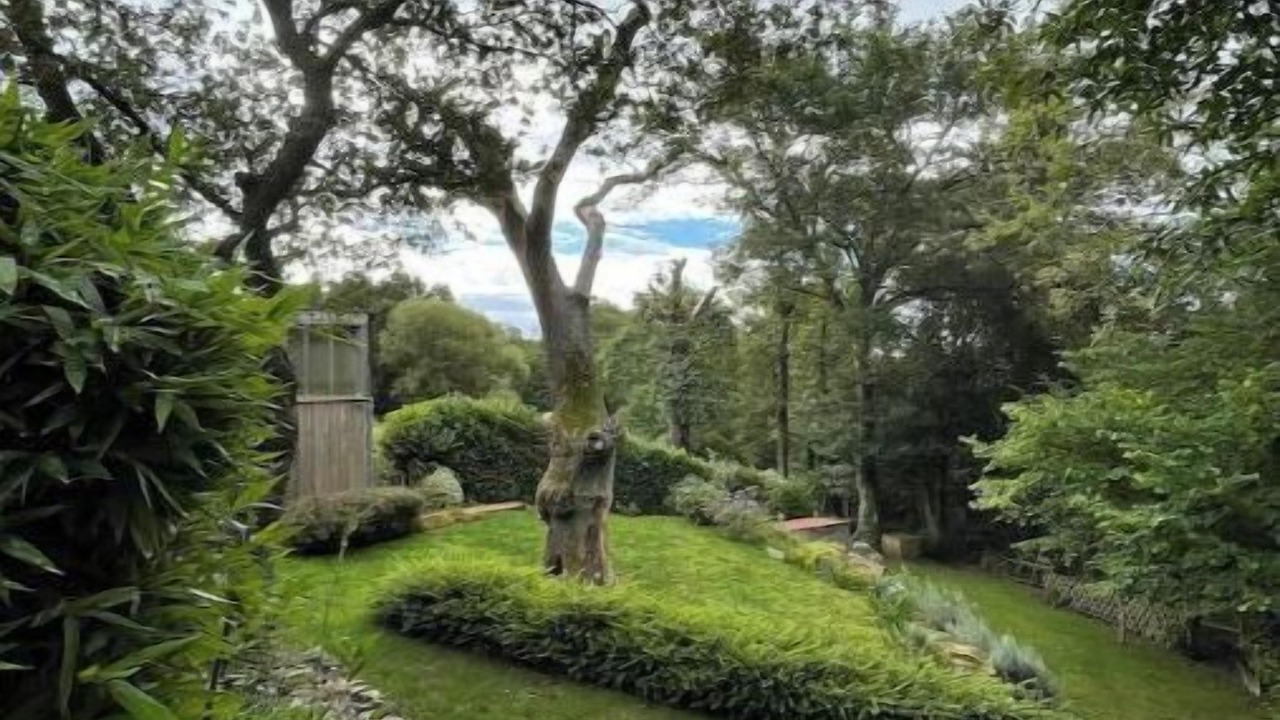 Photo of Outdoor in Pluherlin