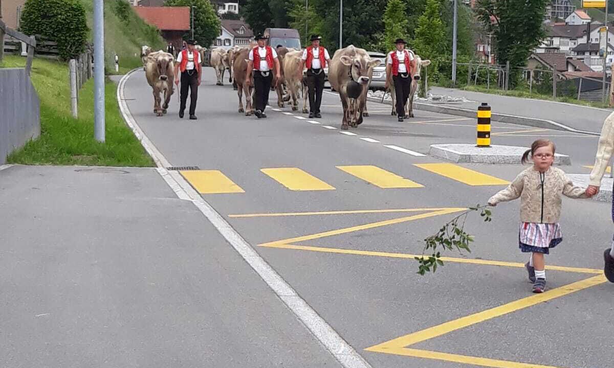 Photo of Outdoor in Rute