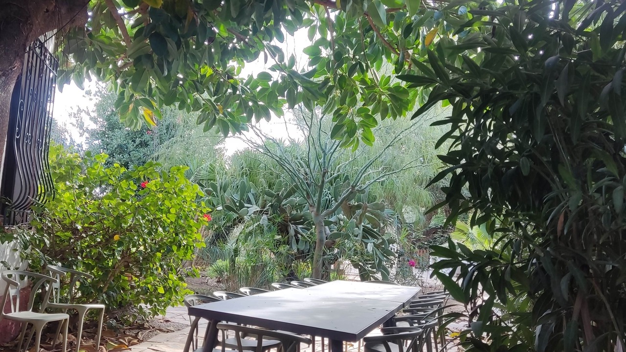 Photo of Outdoor in Vinaros