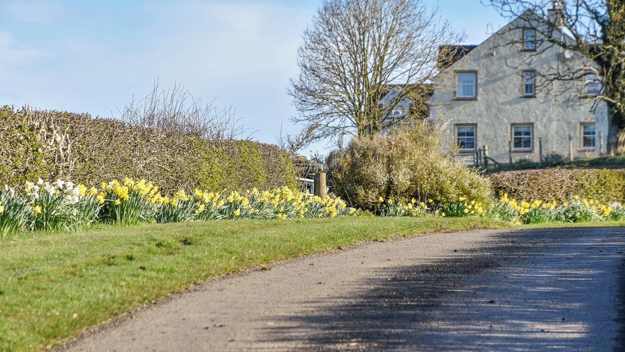 Photo of Others in Kirkmichael