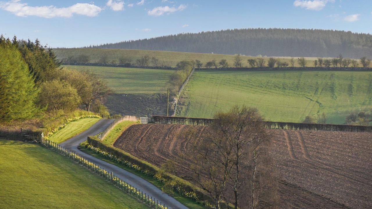 Photo of Others in Kirkmichael
