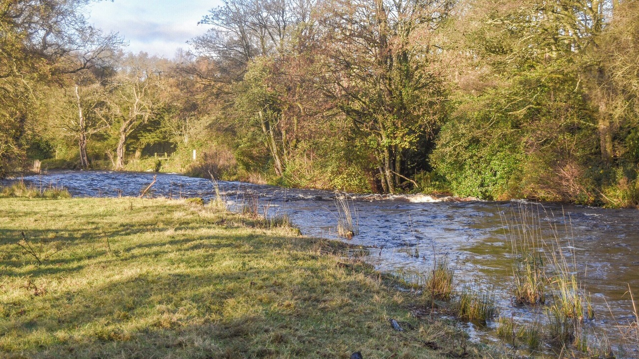 Photo of Others in Kirkmichael