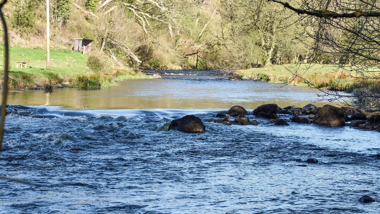 Photo of Others in Kirkmichael