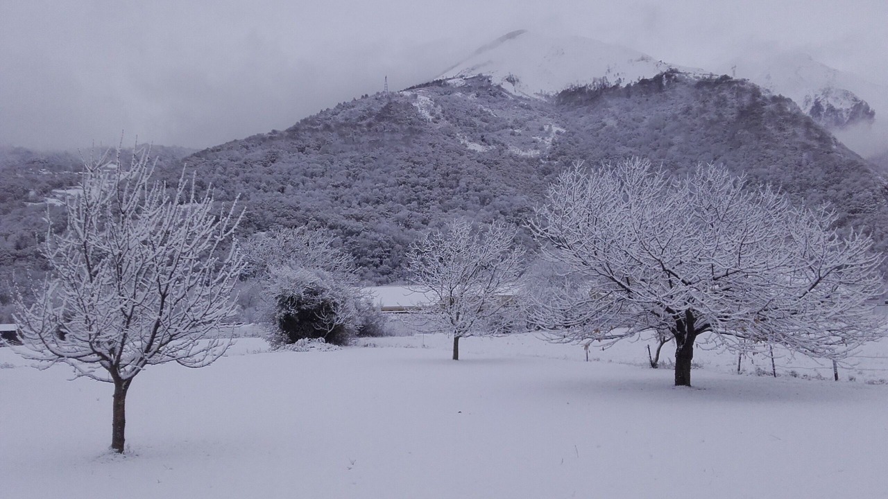 Photo of Others in Pierrefitte-Nestalas