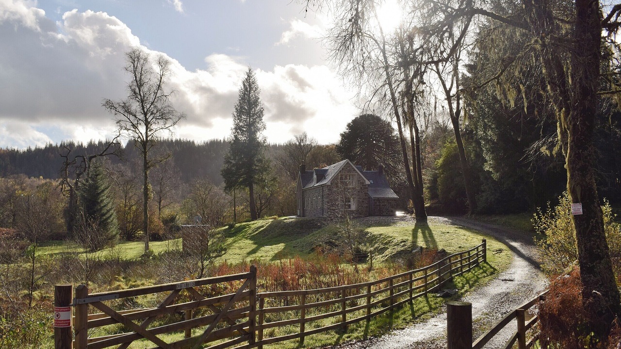 Photo of Others in Milton