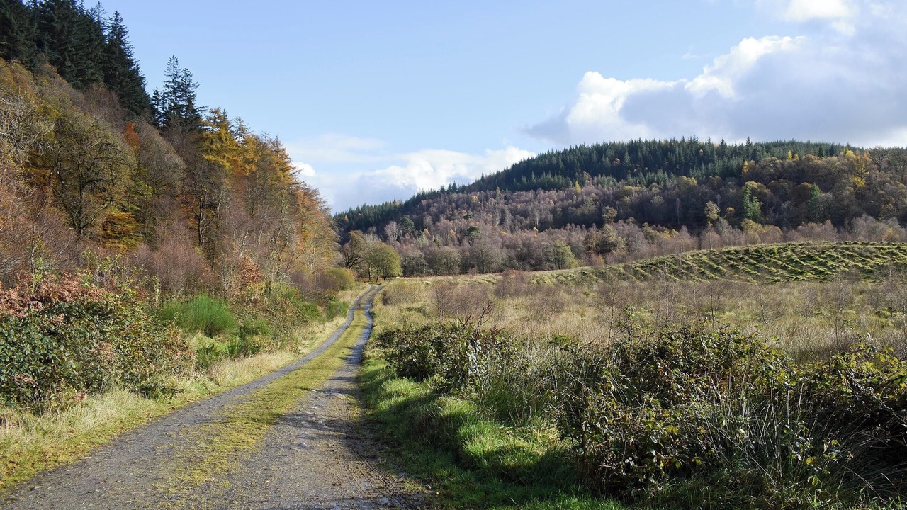 Photo of Others in Milton