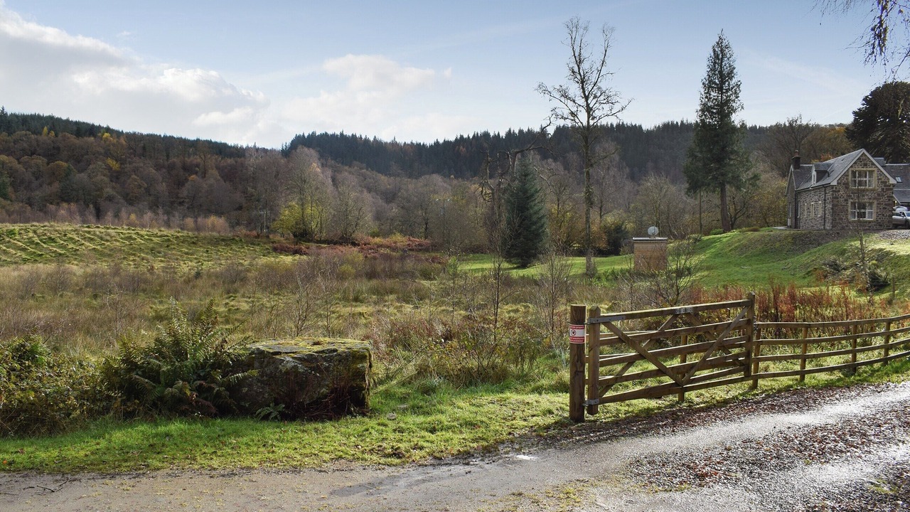 Photo of Others in Milton