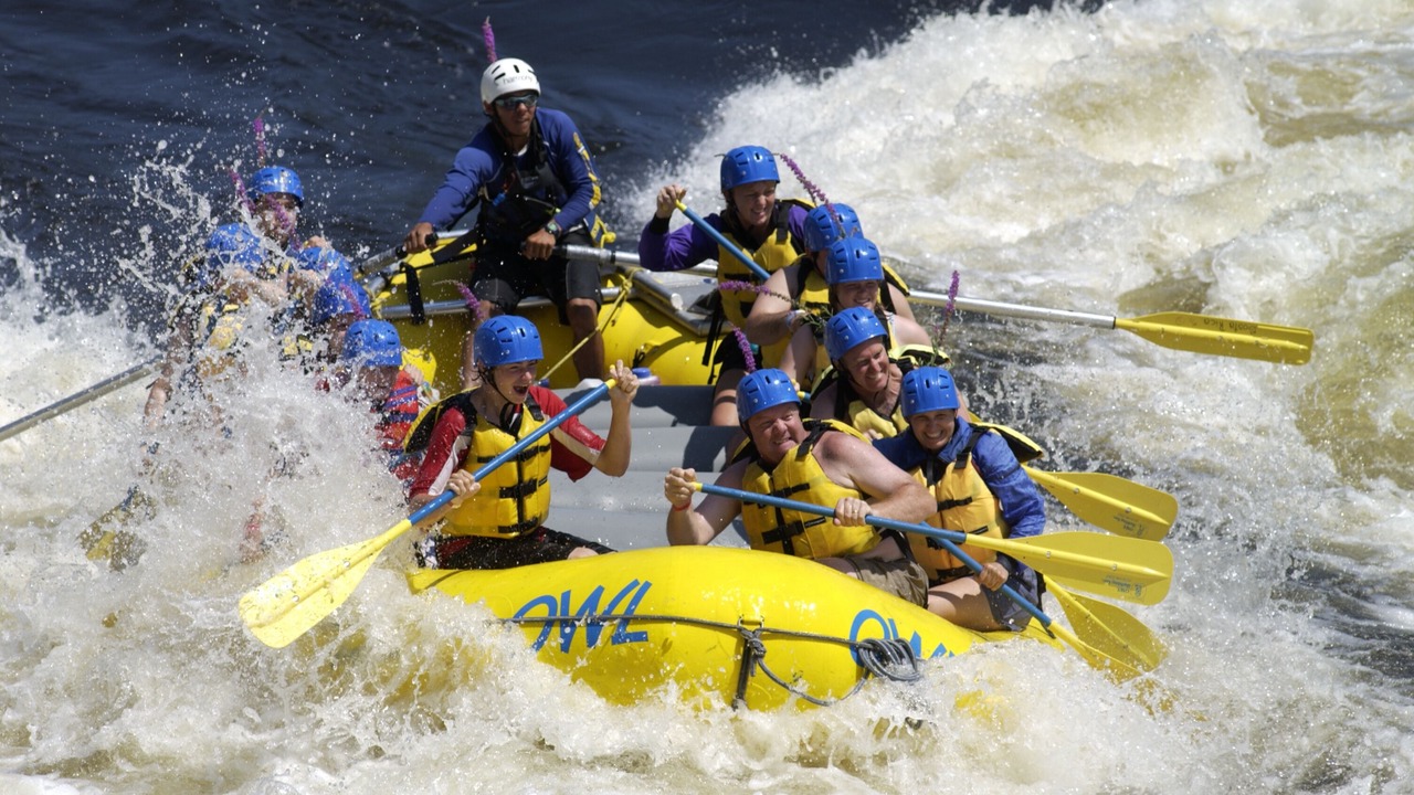 Photo of Others in Westmeath