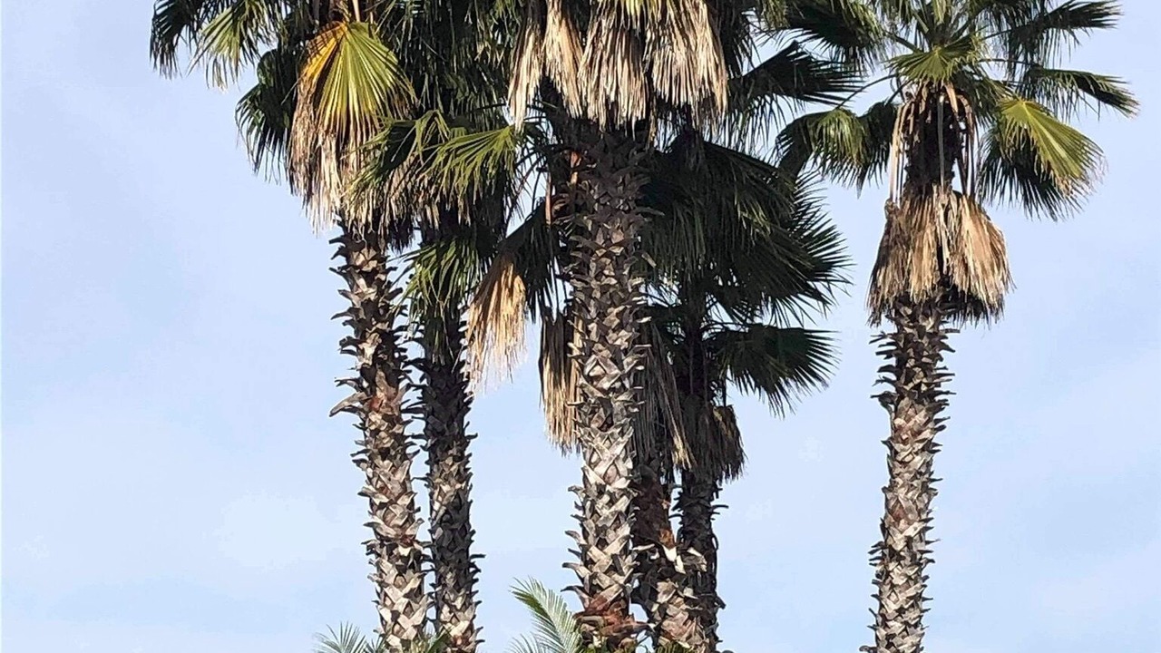 Photo of Outdoor in Trafalgar Village