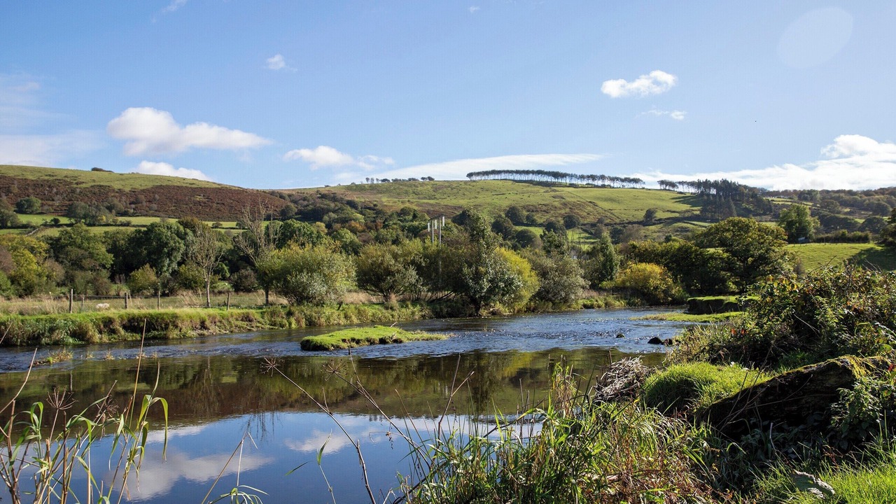 Photo of Others in Bethania