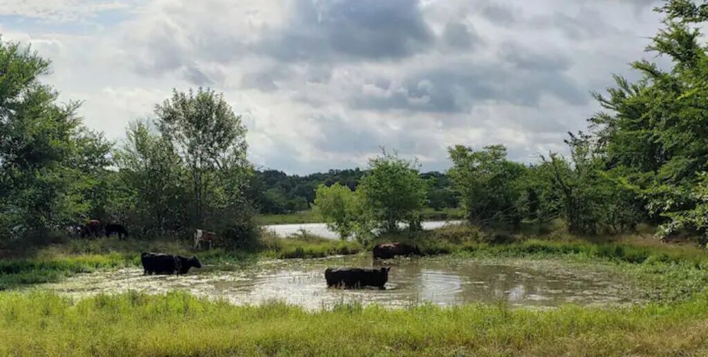 Photo of Outdoor in Greenville