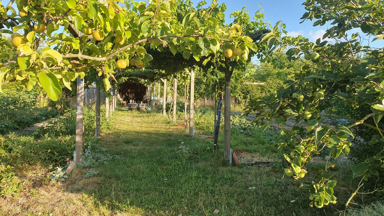 Photo of Outdoor in Razines