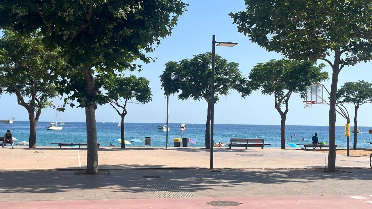Photo of Others in Palamos