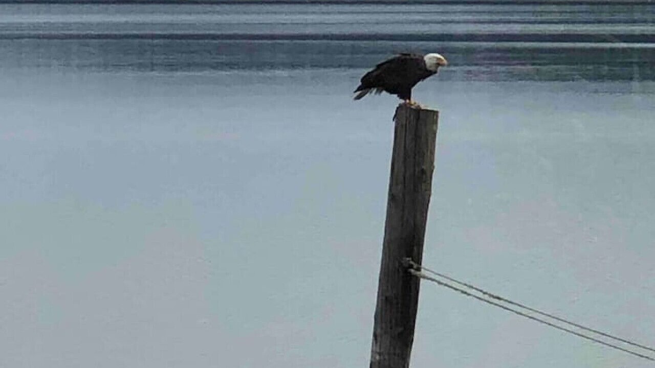 Photo of Others in Adelma Beach