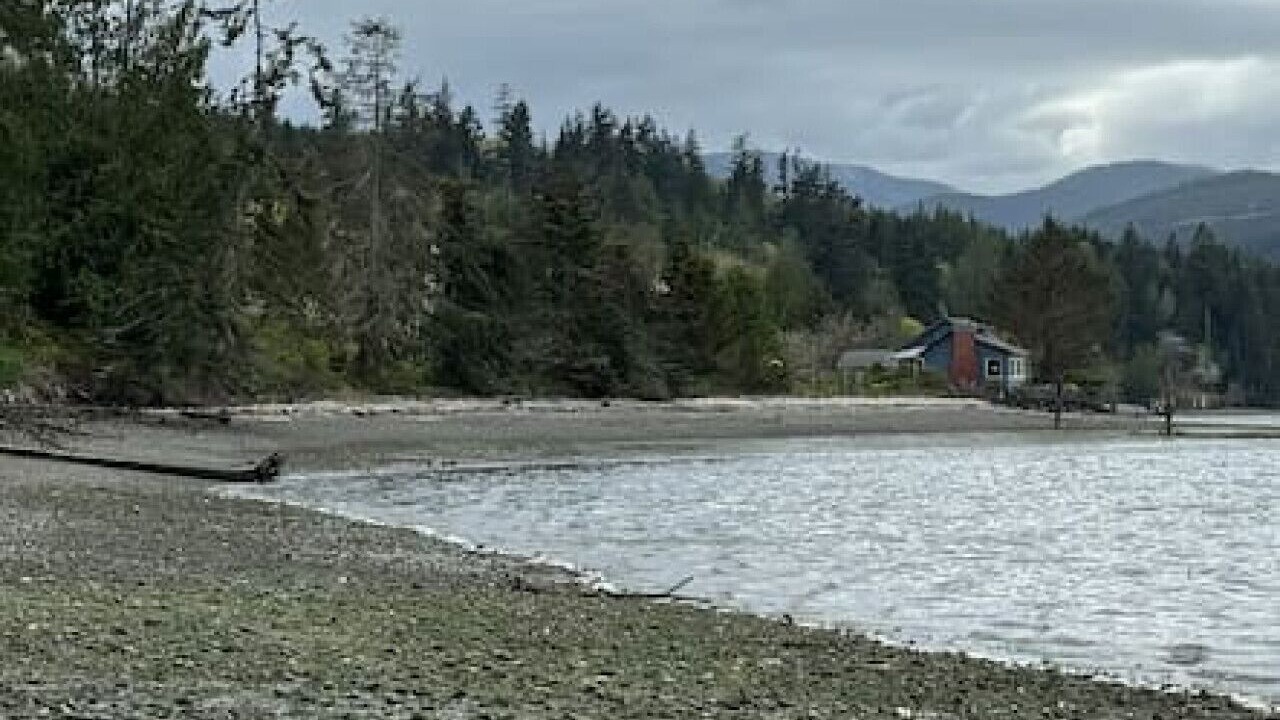 Photo of Others in Adelma Beach