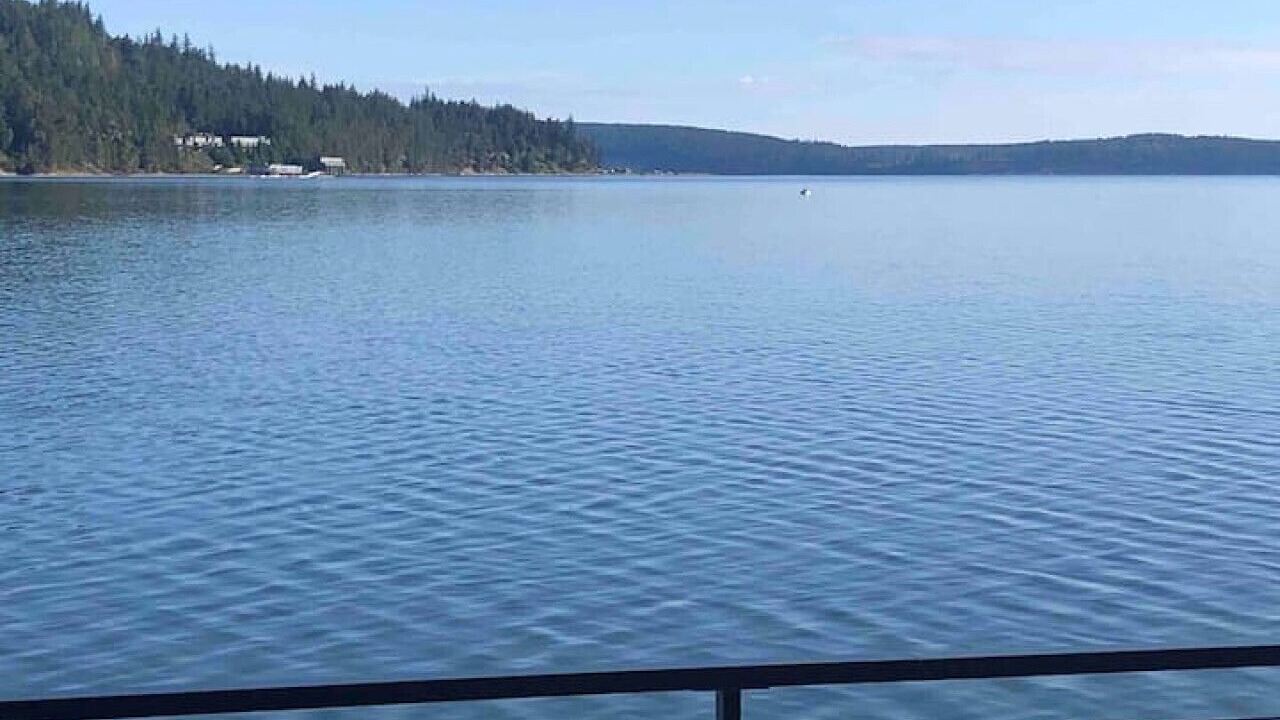 Photo of Others in Adelma Beach