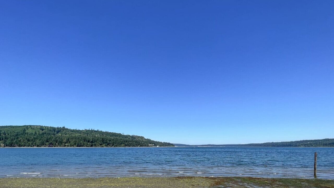 Photo of Others in Adelma Beach