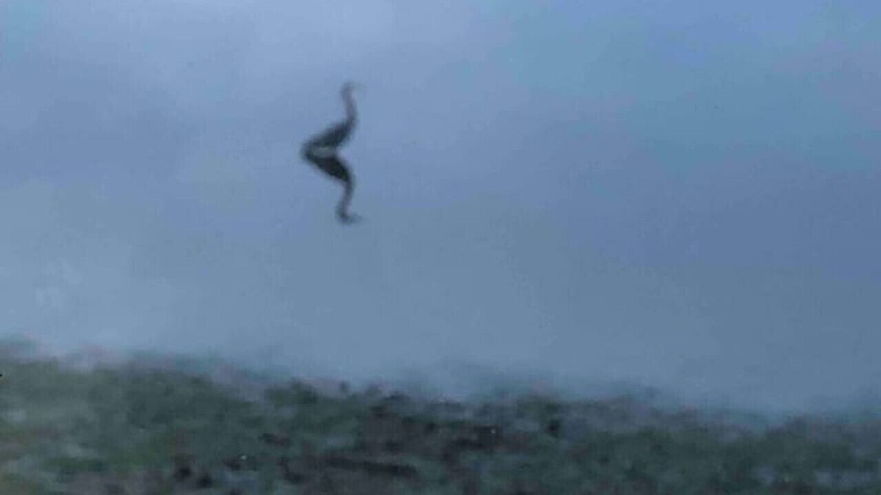 Photo of Others in Adelma Beach