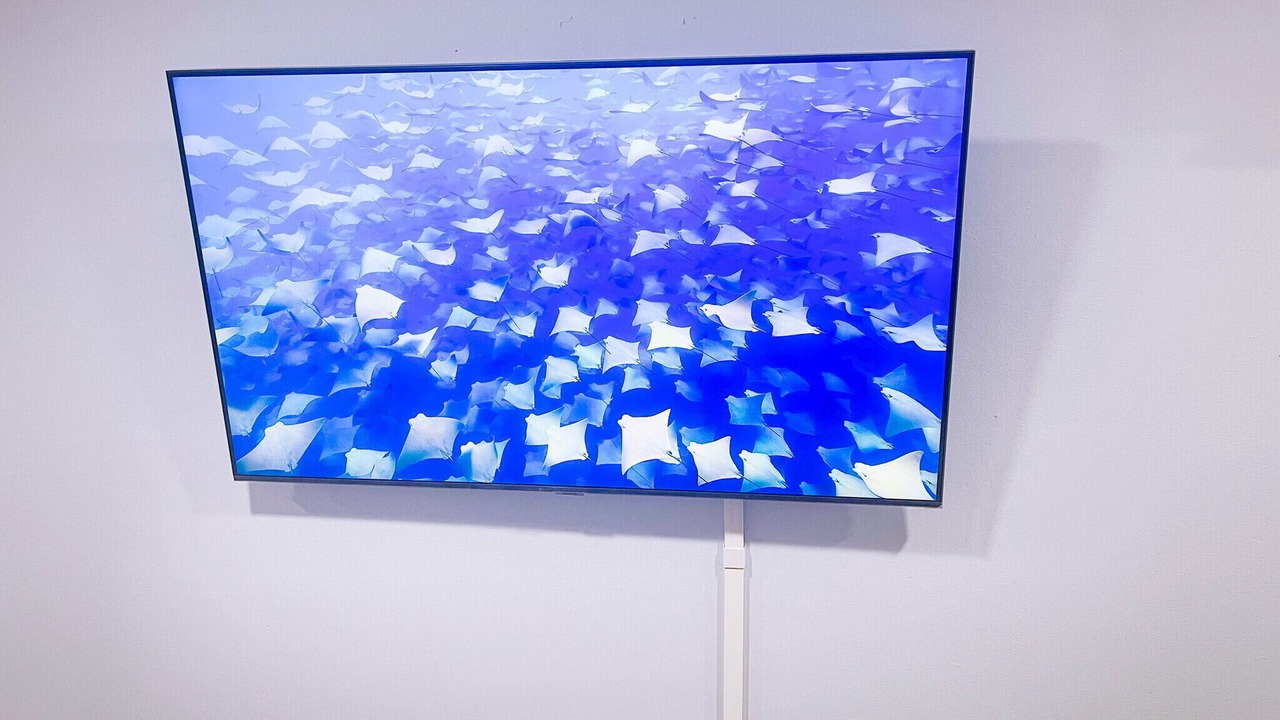 Photo of Others in Bayonne