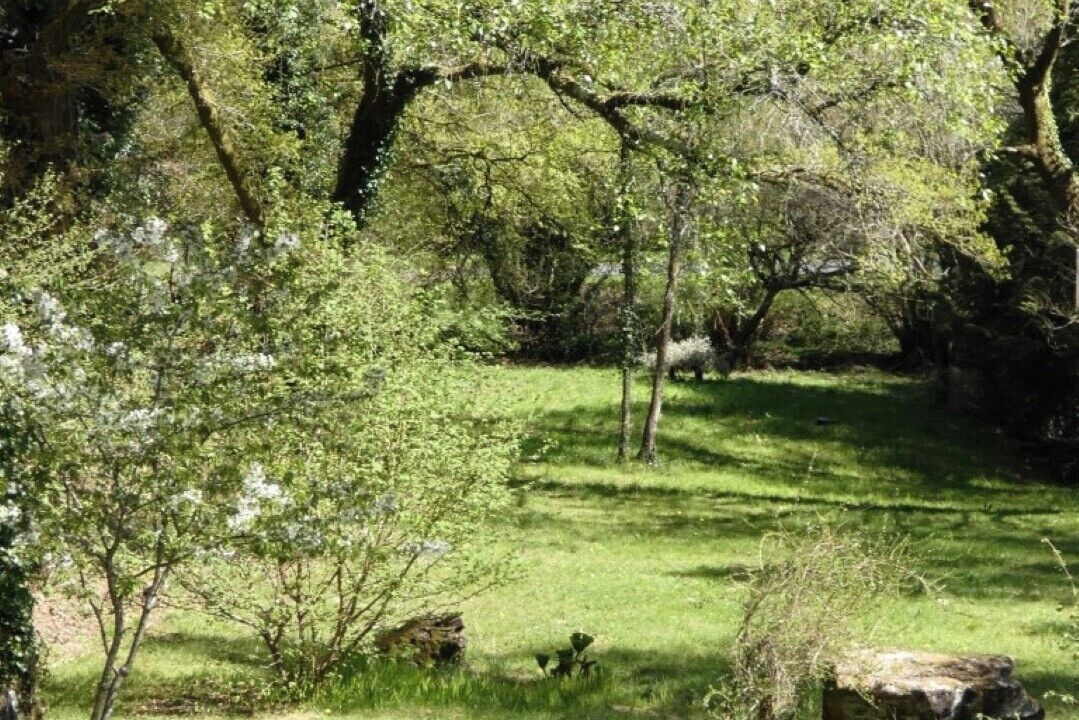 Photo of Outdoor in Meslan