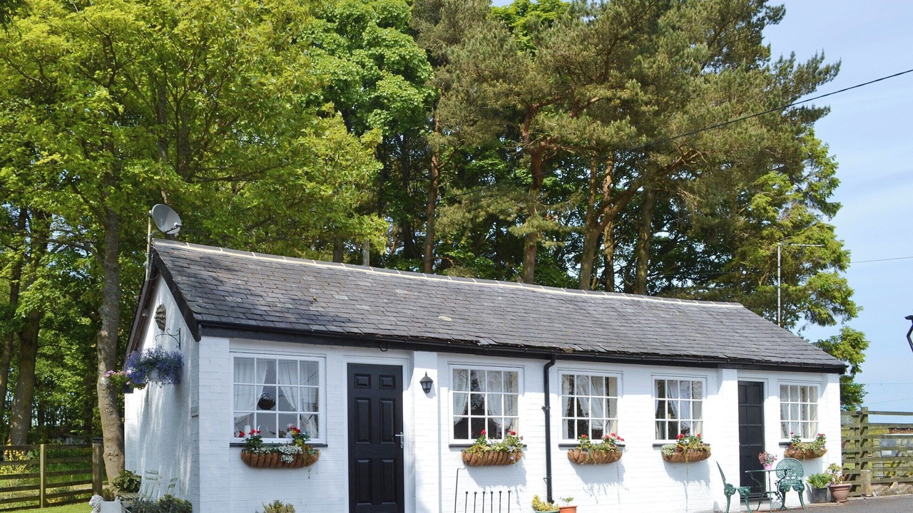 Photo of Others in Brampton