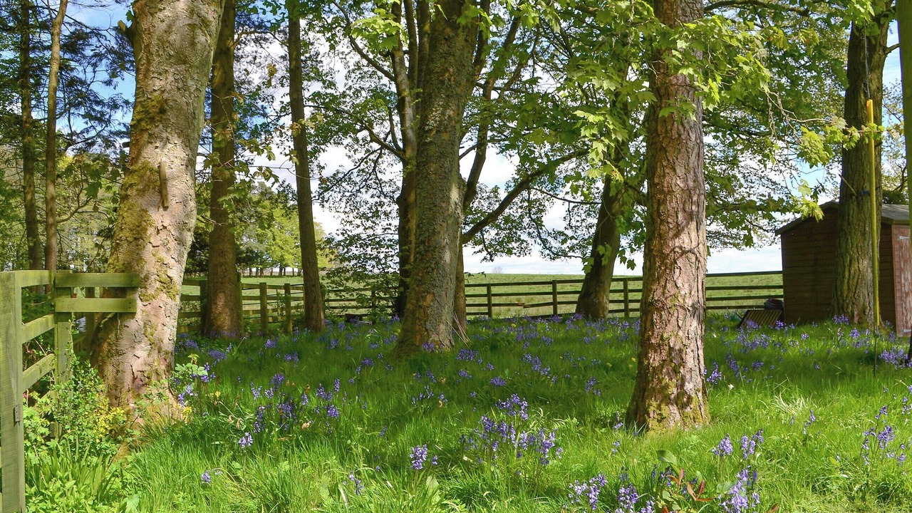 Photo of Others in Brampton