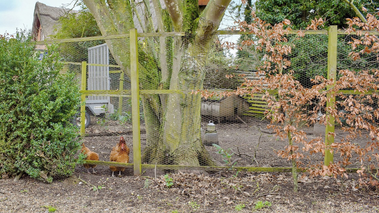 Photo of Outdoor in Uggeshall