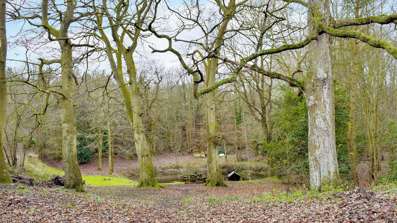 Photo of Outdoor in Uggeshall