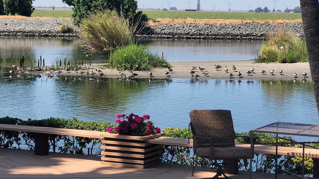 Photo of Patio Balcony in Discovery Bay