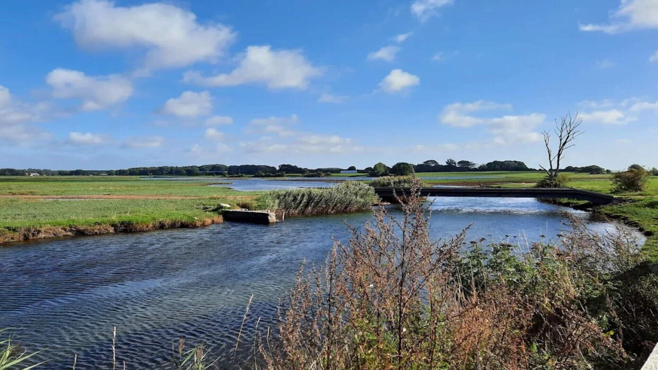 Photo of Others in Bjert