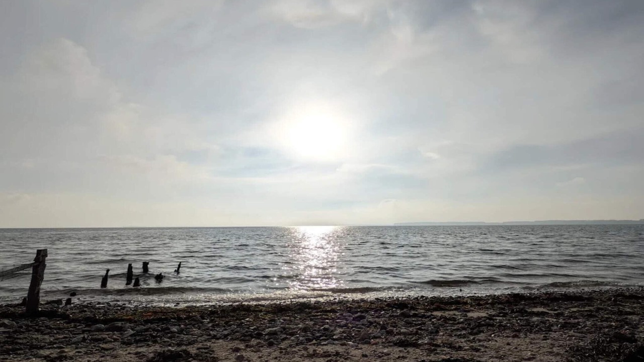 Photo of Others in Bjert